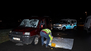 Hamile kadın ile yanındaki kişi otomobilde ölü bulundu
