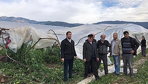 Kaş'ta hortum seralara zarar verdi