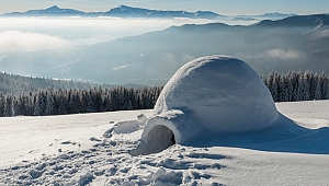 Kuzey yarım kürenin acımasız soğuğunda nasıl ılık, güvenli ve yeşil kalınır?