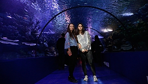 Öğrenciler akvaryumda stres attı