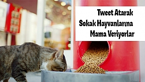 Tweet Atarak Sokak Hayvanlarına Mama Veriyorlar