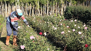 ÜRETEN BELEDİYE, DAHA YEŞİL ERDEMLİ