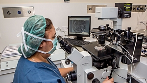 10 Beslenme Önerisi Tüp Bebek Tedavisini Kolaylaştırıyor