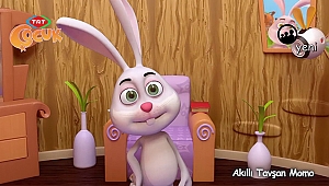 AKILLI TAVŞAN MOMO SİZLERLE