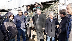 BÜYÜKŞEHİR’DEN ÇİFTÇİLERE ZEYTİN FİDANI
