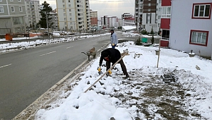 BÜYÜKŞEHİRDEN BAKIM ONARIM MESAİSİ