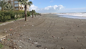 Erdemli Belediyesi Hizmete Kaldığı Yerden Devam Ediyor