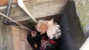 HAVALANDIRMADA MAHSUR KALAN TAVUĞU İTFAİYE KURTARDI