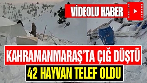 KAHRAMANMARAŞ’TA ÇIĞ DÜŞTÜ: 42 HAYVAN TELEF OLDU