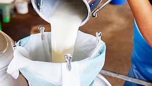 Kahramanmaraşlı üreticilere 36 milyon çiğ süt desteği sağlandı