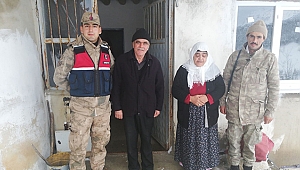 Karları aşarak şehit ailelerini ziyaret edip vatandaşın sobasını temizlediler