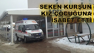 SEKEN MERMİ ÇOCUĞU YARALADI