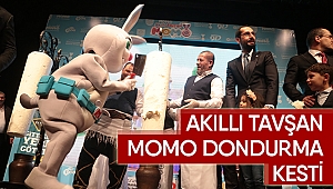 Akıllı Tavşan Momo Dondurma Kesti