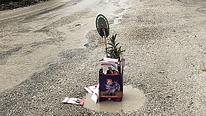 Bozuk yollara çiçek diktiler