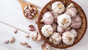 BU BESİNLER GRİBİN DÜŞMANI 