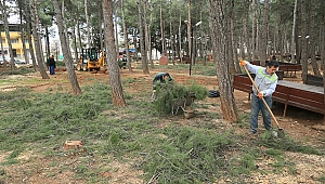 Büyükşehir Belediyesi bahara hazırlanıyor