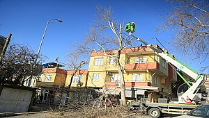 Büyükşehir’den Bahar Hazırlığı