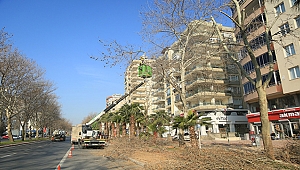 Kahramanmaraş bahara hazırlanıyor