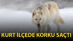 KURT İLÇEDE KORKU SAÇTI