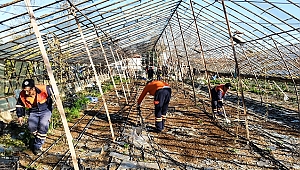 Muratpaşa Belediyesi Afet mağdurlarına yardım ediyor