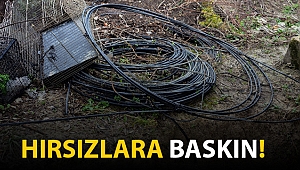 Osmaniye’de hırsızlara baskın