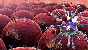 Rahim Ağzı Kanserinden Korunmak İçin Hpv'ye Karşı Önlem Alın