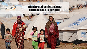 Türkiye’deki Suriyeliler git gide artıyor