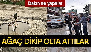 Yola olta atıp, ağaç diktiler