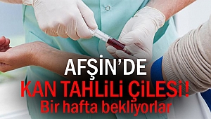 Afşin'de kan tahlili çilesi!