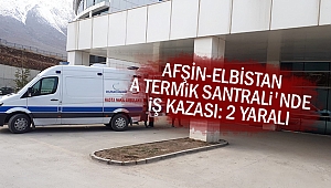 Afşin-Elbistan A Termik Santrali'nde İş Kazası: 2 Yaralı