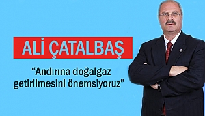 Ali Çatalbaş, “Andırına doğalgaz getirilmesini önemsiyoruz” 