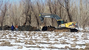 Başkan Vekili Tıraş 