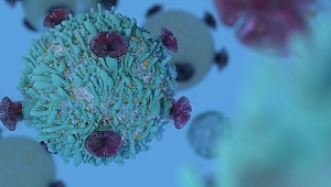 Bu yöntem kanseri yenecek!