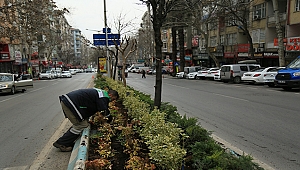 Büyükşehir Bahara Hazırlanıyor