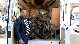 Büyükşehir’den çiftçilere fidan desteği