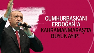 Cumhurbaşkanı Erdoğan'a büyük ayıp!