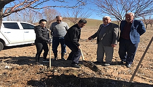 Elbistan'da Kaysı Ağaçlarına Gidya Uygulaması