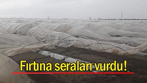 Fırtına seraları vurdu!