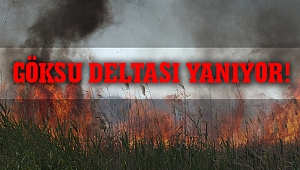 Göksu Deltası yanıyor!
