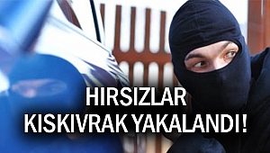Hırsızlar kıskıvrak yakalandı!