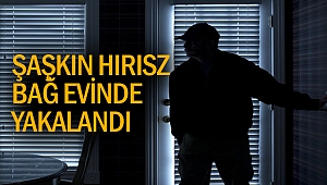 Kahramanmaraş'ta Hırsızlık