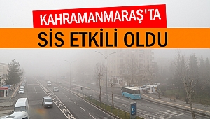 Kahramanmaraş'ta Sis Etkili Oldu