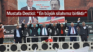 Mustafa Destici: 