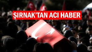 Şırnak'ta el yapımı patlayıcı infilak etti: 1 şehit, 1 yaralı