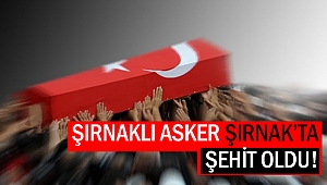 Şırnaklı asker şehit oldu!
