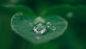 Su kaçakları ve kayıpları yüzde 50’yi geçti