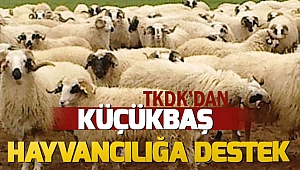 TKDK Küçükbaş Hayvancılığı Destekliyor