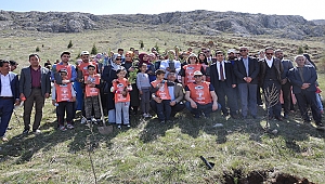 Aday öğretmenler, fidan dikti