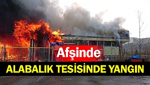 Alabalık Tesisinde Yangın