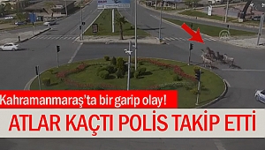 Atlar kaçtı polis takip etti